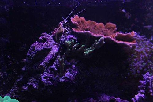 IMG_9356.JPG