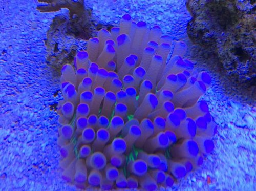 image.jpg (60.04 KiB) Vist 3569 gange Nyindkøb