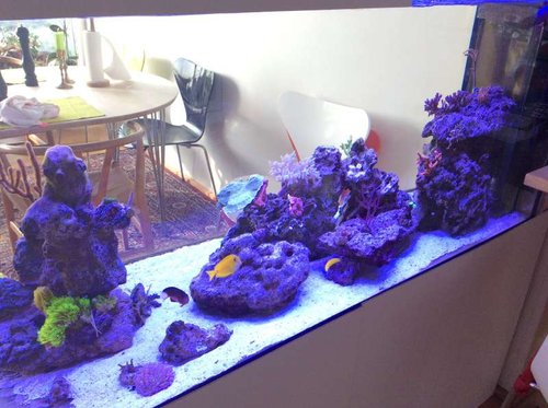 image.jpg (56.9 KiB) Vist 3592 gange Halvtotal.....