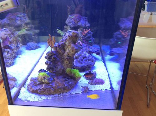 image.jpg (51.84 KiB) Vist 3569 gange Fra enden