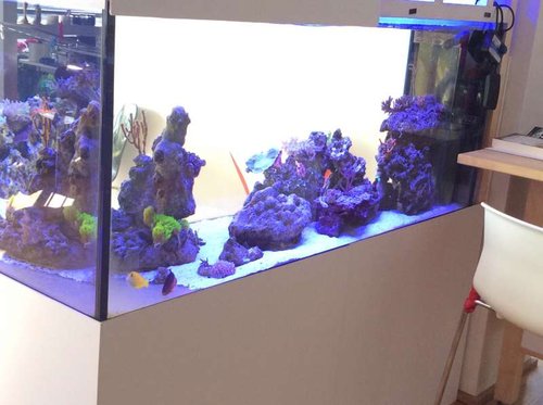 image.jpg (42.98 KiB) Vist 3592 gange Total. Anden side.