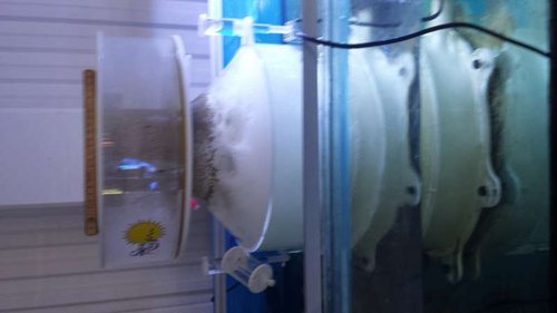 20150717_151056.jpg