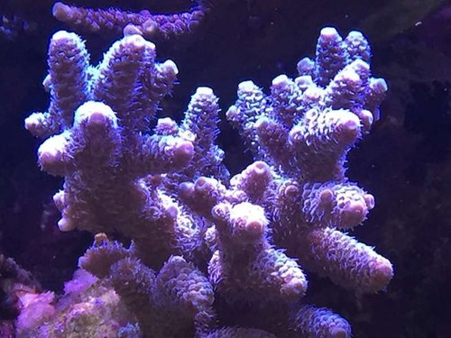 2015-07-15 16.44.36.jpg