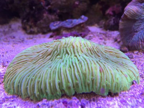 2015-07-15 16.43.36.jpg