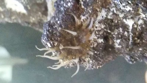 20150723_073843.jpg