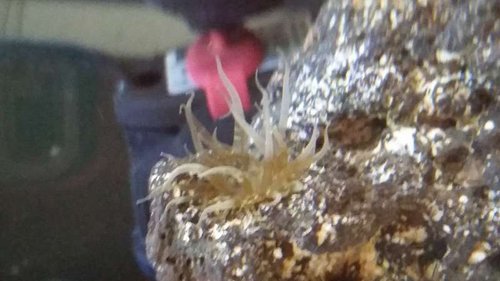 20150723_100335.jpg