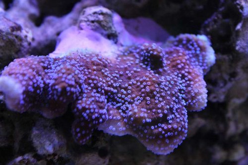 IMG_5000.JPG
