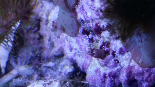 20150825_185903.jpg