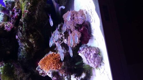 20150831_213259.jpg