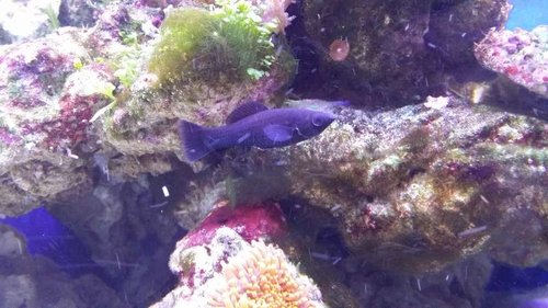 20150831_213313.jpg