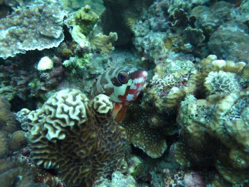 IMG_0224.JPG