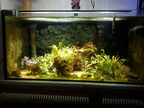 Refugium.