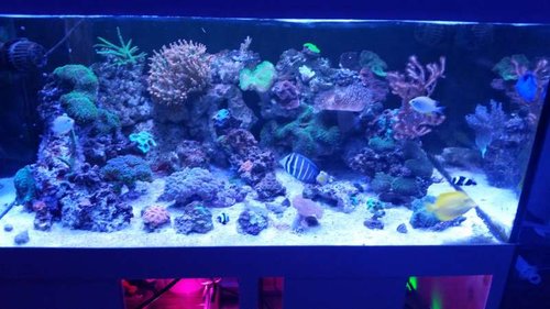 20150905_204513.jpg