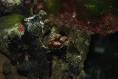 DSC_2160.JPG