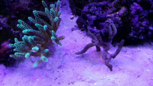 20150930_190009.jpg