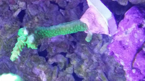 20150930_185949.jpg