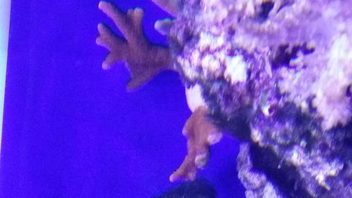 20150930_185916.jpg