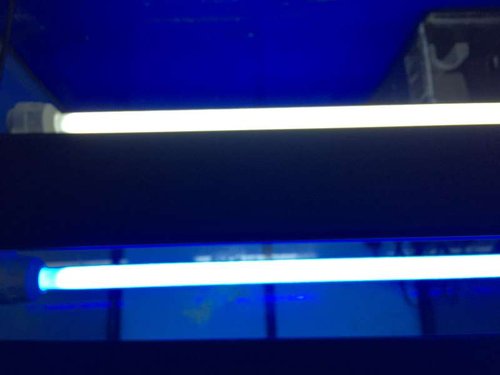 2015-10-07 20.42.15.jpg (19.87 KiB) Vist 1786 gange Standard Juwel Hi-Lite Armatur med et hvidt lyststofrør og en blåt. begge 24W