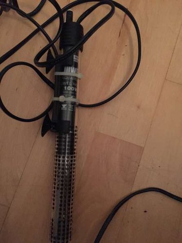 2015-10-07 20.46.37.jpg (21.19 KiB) Vist 1786 gange 100w originalt Juwel Varmelegme