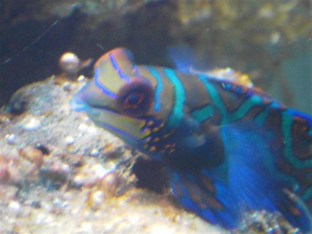 PICT3504 (Small) (Small).JPG