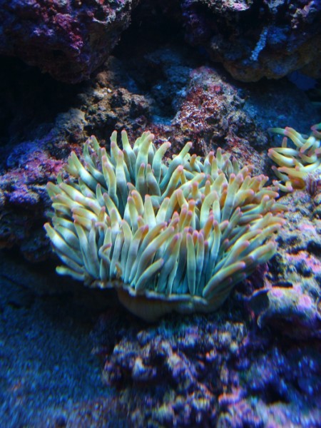 S6001716 (450 x 600).jpg