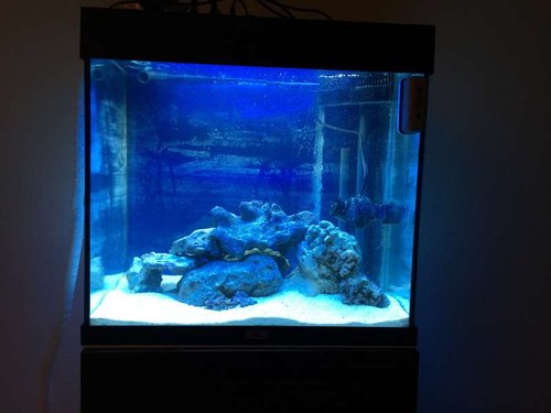 2015-10-21 23.18.22.jpg (32.89 KiB) Vist 1553 gange Akvariet set fra fronten