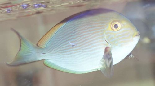 test.jpg (20.65 KiB) Vist 2680 gange jpg fil