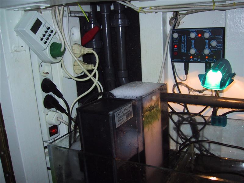 IMG_0213 (Medium).JPG