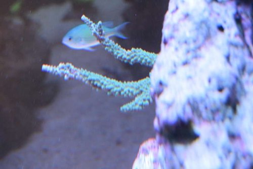 DSC_0067.JPG