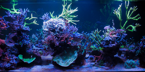 1.png (566.74 KiB) Vist 1480 gange 1.png