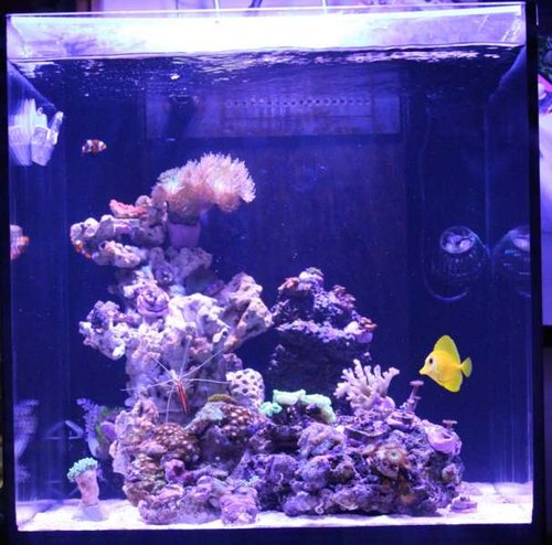 full5.11.jpg (47.22 KiB) Vist 1447 gange full5.11.jpg