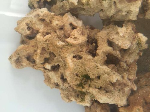 image.jpg (48.34 KiB) Vist 11500 gange A