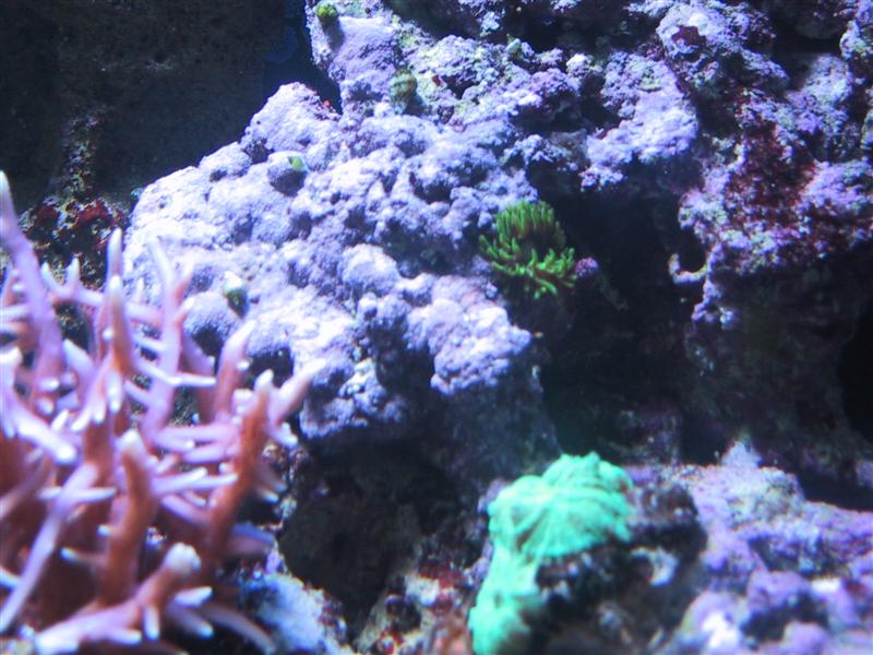 IMG_0216 (Medium).JPG