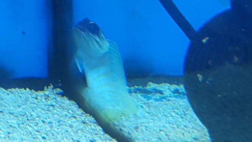 20151113_095319.jpg