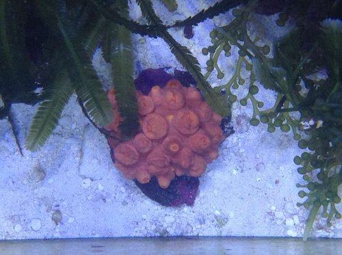 Top-down