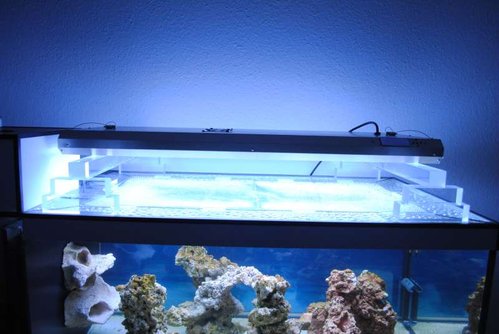 ATI T5 lampe med min DIY-stander