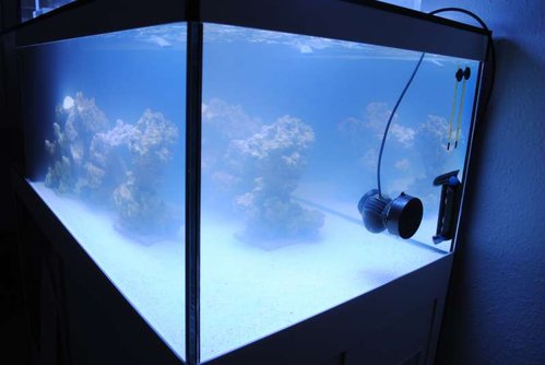 FTS. Tunze Care Magnet (long) og en moddet Tunze 6055 som jeg brugte før, at jeg fik min Maxspect Gyre XF150 sat til - her vil jeg godt takke Søren for hjælpen =D