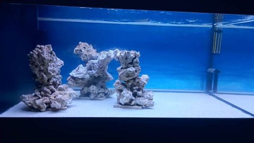 FTS