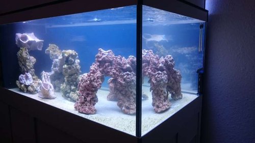 FTS