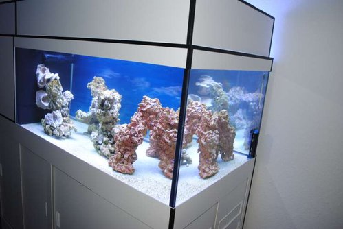 FTS
