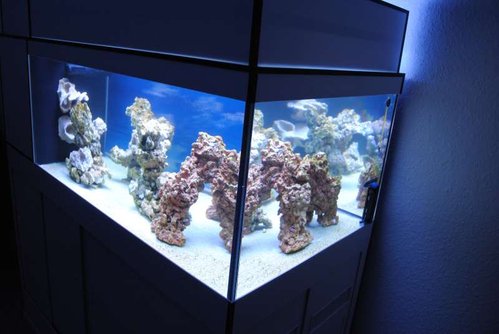 FTS