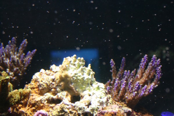 No2 (600 x 400).jpg