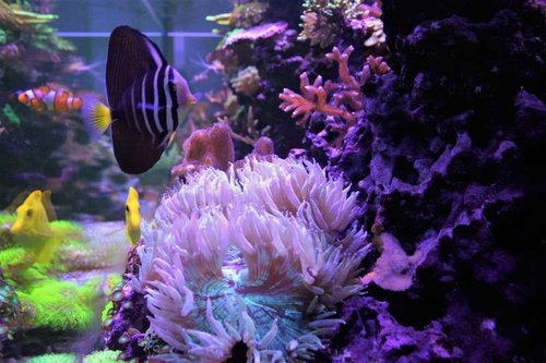 IMG_9872.JPG