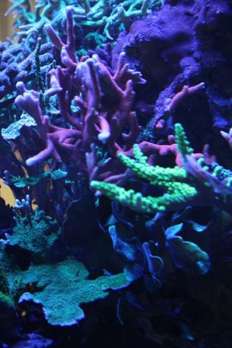 IMG_9755.JPG