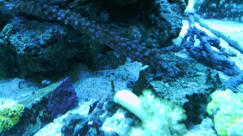 WIN_20021208_120000 (90).JPG