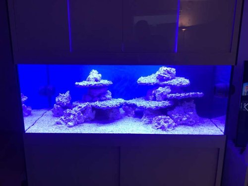 akvariet forfra