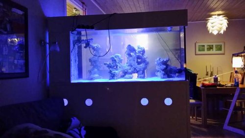 20151221_000921.jpg