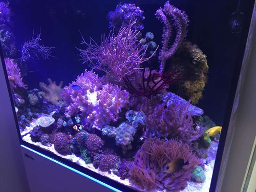 image.jpeg (60.54 KiB) Vist 1293 gange image.jpeg