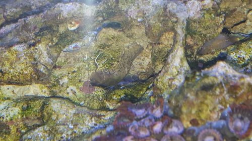 20151227_220406.jpg