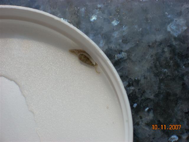 DSCN0067 (Small).JPG